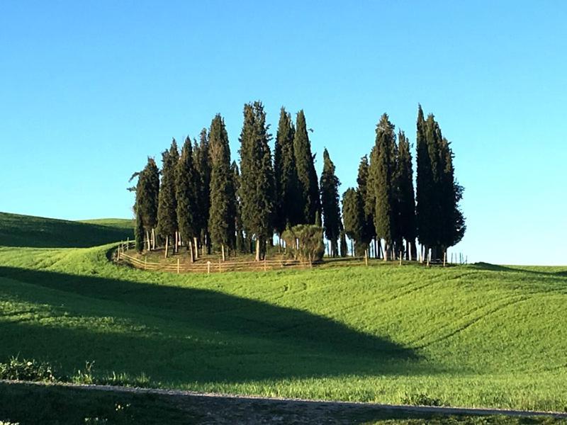 Apartamento Finestra Sulla Val D'Orcia San Quirico dʼOrcia Exterior foto